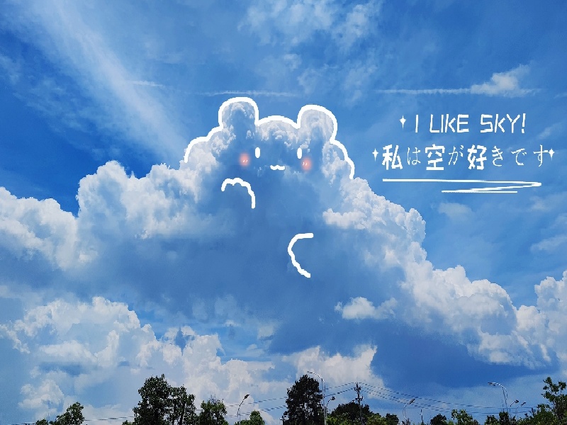 王女士成功案例