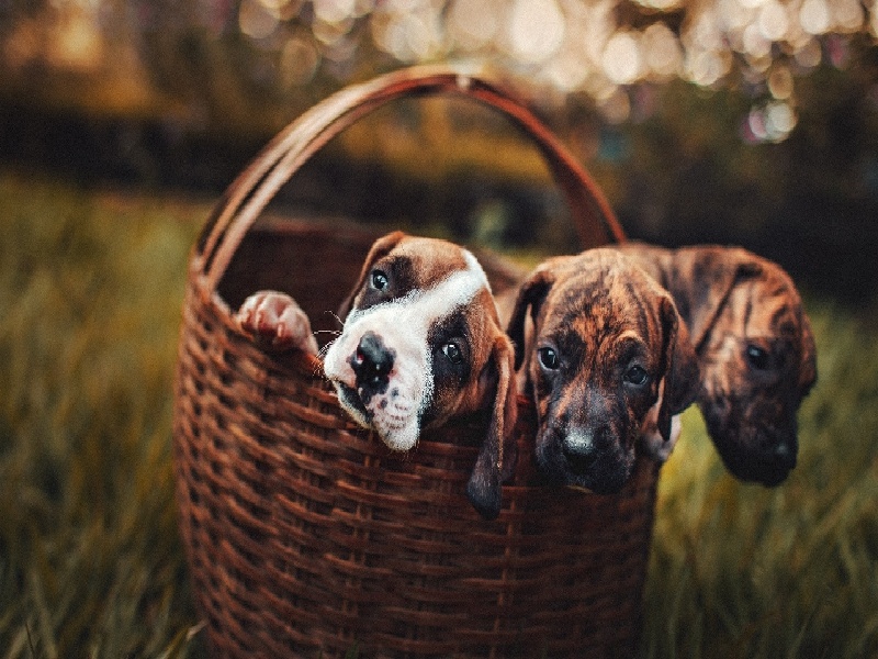 陈女士成功案例